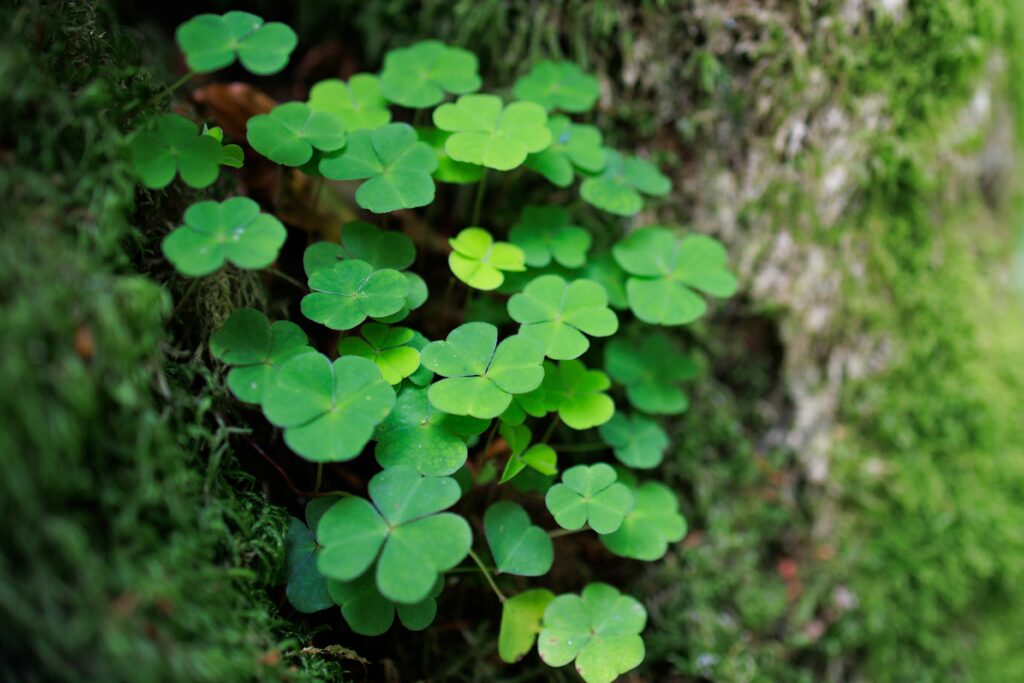 The psychology of luck