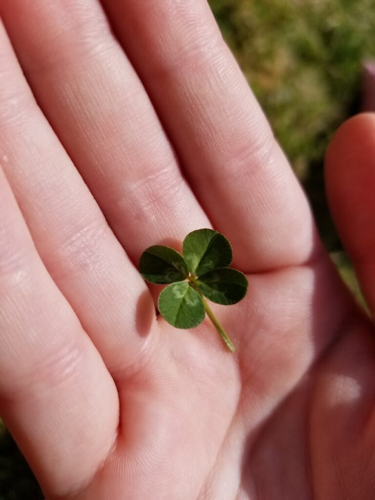 MBTI luck